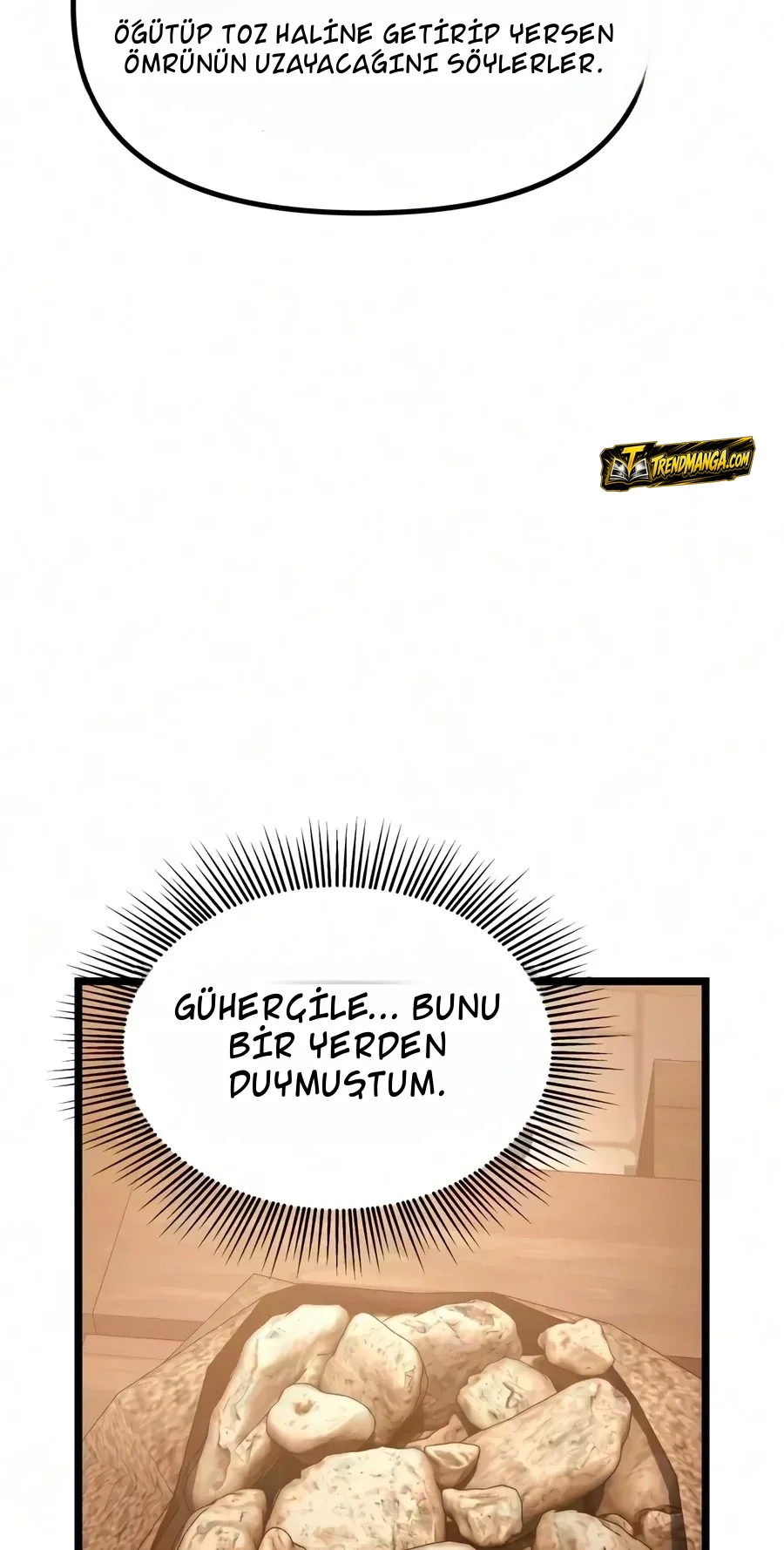 TrendManga Türkçe manga oku the-shepherd-wizard bölüm 22 sayfa 74